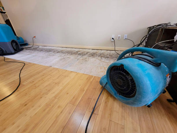 Professional Sewage Cleanup technician working in Gorman, NC